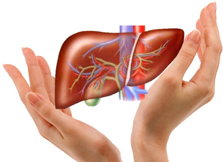 Những nguy hại về bệnh gan nhiễm mỡ